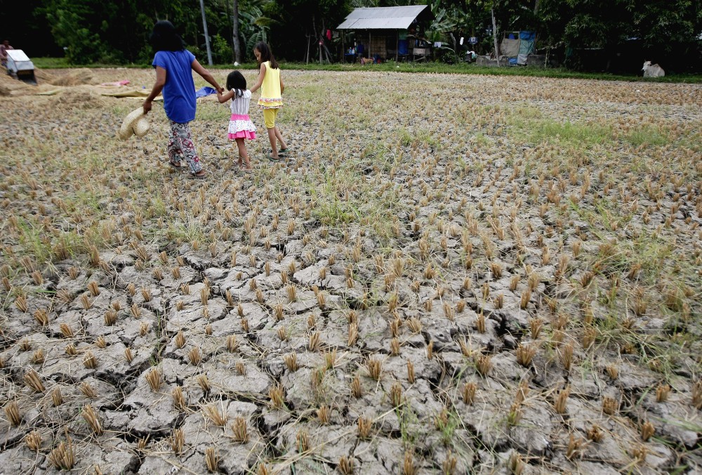 A woman and children walk through a drought-stricken rice field in Cebu, Philippines, in April 2016. (CNS/Reuters/Jay Rommel Labra) A woman and children walk through a drought-stricken rice field in Cebu, Philippines, in April 2016. (CNS/Reuters/Jay Rommel Labra)