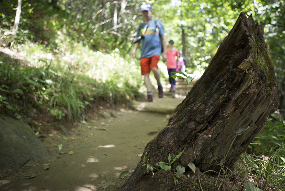 Visitors hike the Appalachian Trail in 2016 at the Great Smoky Mountains National Park Visitors hike the Appalachian Trail in 2016 at the Great Smoky Mountains National Park. (CNS/Chaz Muth)
