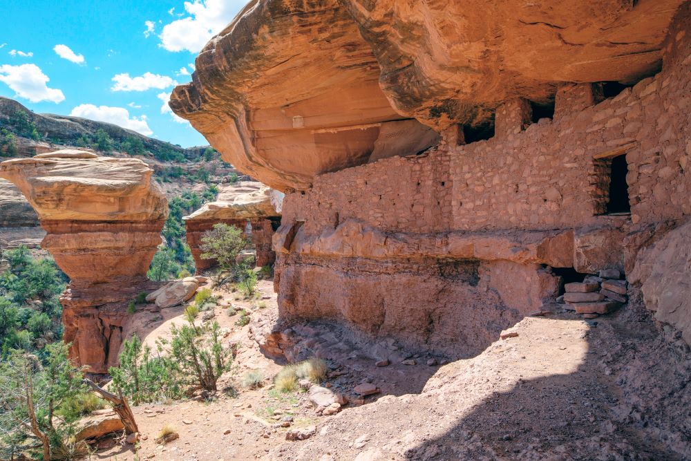 The Cedar Mesa Moon House at Bears Ears National Monument in southeast Utah. (Creative Commons/Courtesy of Bureau of Land Management)