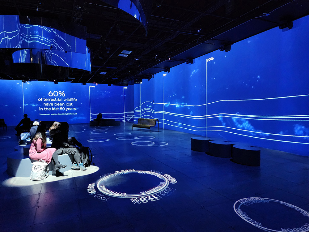 Participants at the COP15 United Nations biodiversity conference in Montreal on Dec. 16 take in a nature immersion exhibit created by National Geographic that highlights threats to species and ecosystems. (NCR photo/Brian Roewe)