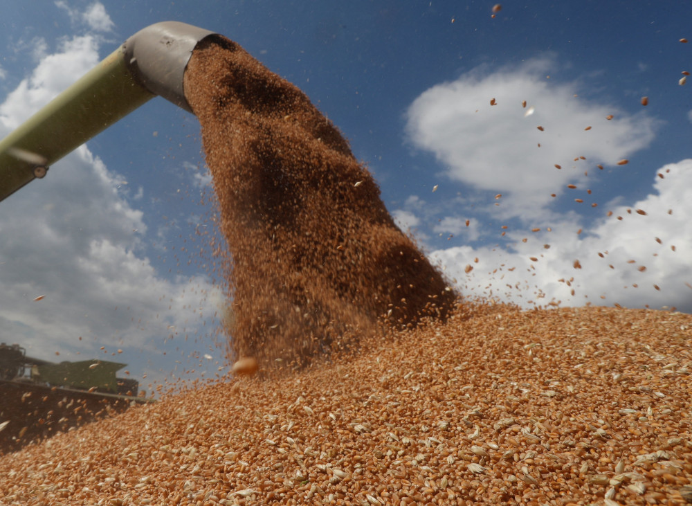 A combine harvester near Hrebeni, Ukraine, loads a truck with wheat July 17, 2020. (CNS/Ruters/Valentyn Ogirenko)