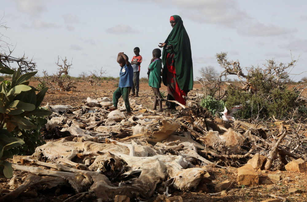 A Somali woman and her children stand near the carcasses of their dead livestock