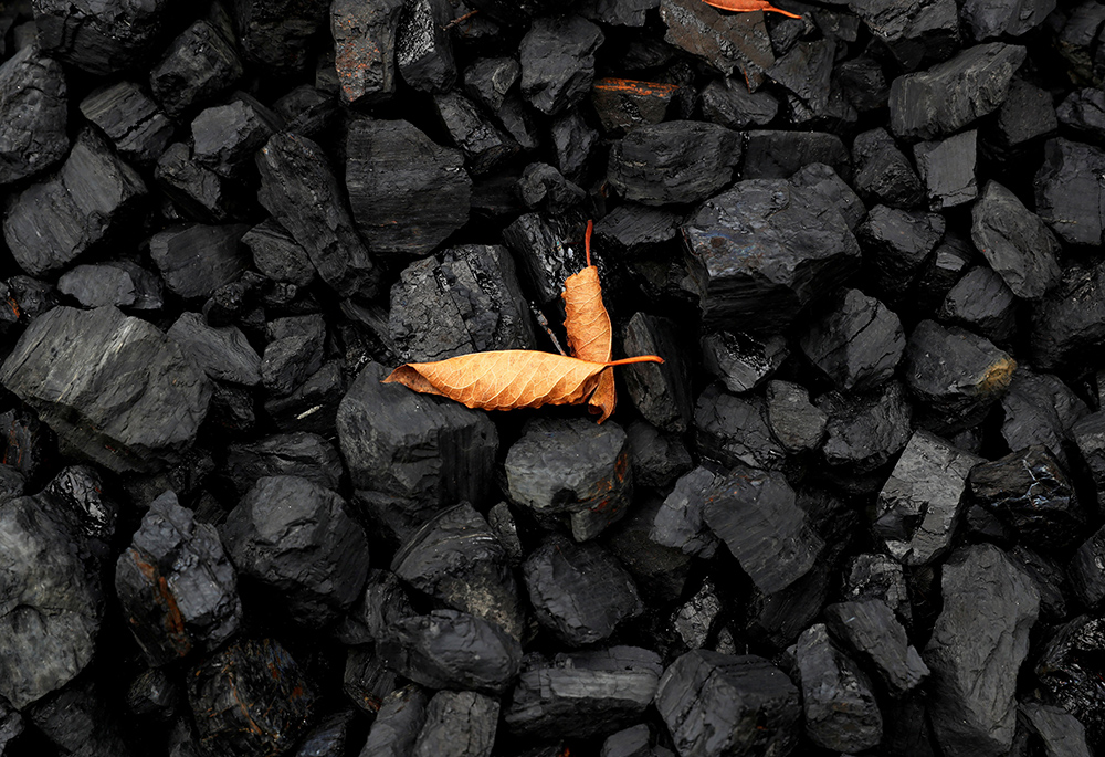 A leaf sits on top of a pile of coal in this illustration photo. (CNS/Reuters/Shannon Stapleton)