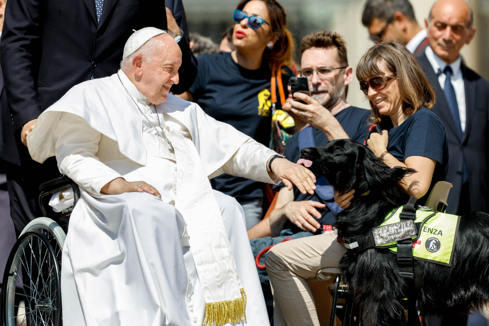 A black dog wearing a yellow harness and sign licks Pope Francis' hand. Francis rolls by a crowd in his wheelchair.