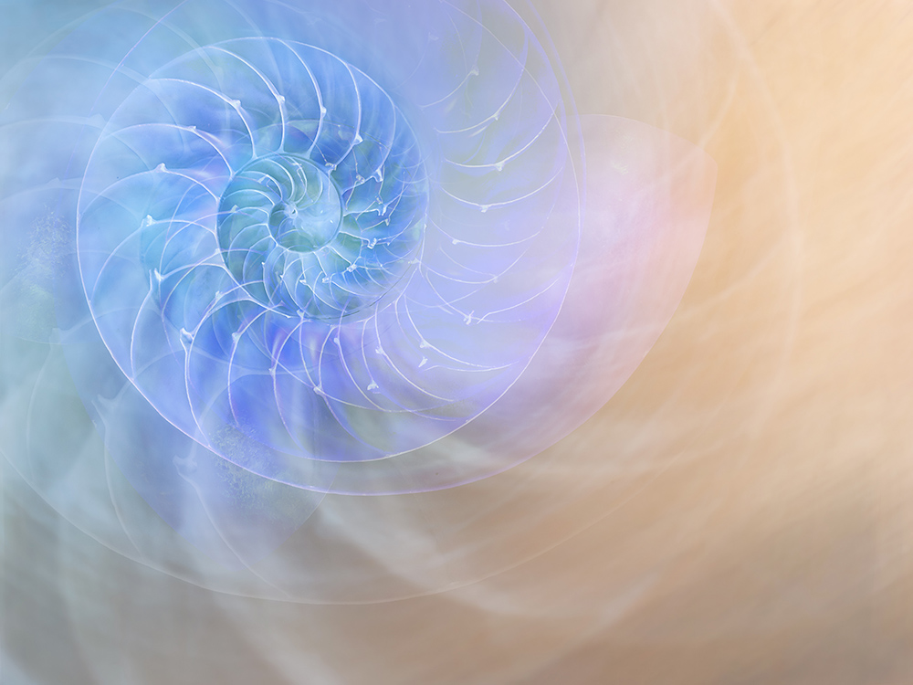 "Nautilus Sweep," digital artwork by Notre Dame de Namur Sr. Terry Davis (Courtesy of Terry Davis)