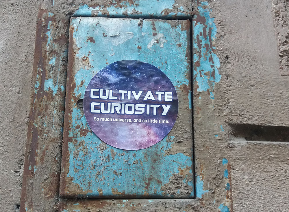 Cultivate curiosity (Unsplash/Marija Zaric)