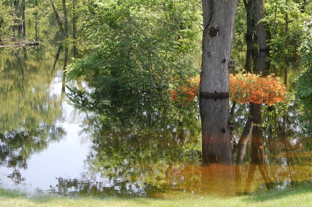 The Ashuelot River in Winchester, N.H., floods a yard July 11, 2023. 