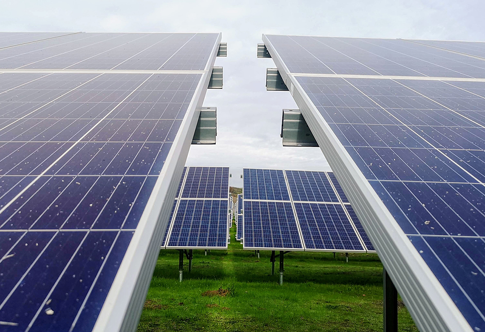 Rows of solar panels on a solar farm (Unsplash/Creative Commons/Mariana Proença)