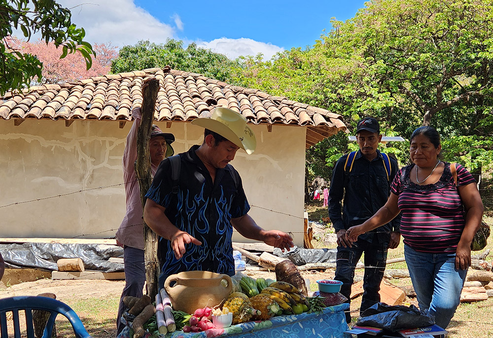 Desiderio Vasquez, a local farmer, shows off a colorful cornucopia of the bounty cultivated and grown partly through a series of irrigation systems the remote community in Los Hornos built with the help of Catholic Relief Services, ASOMAINCUPACO and other local partners. (NCR photo/Brian Roewe)