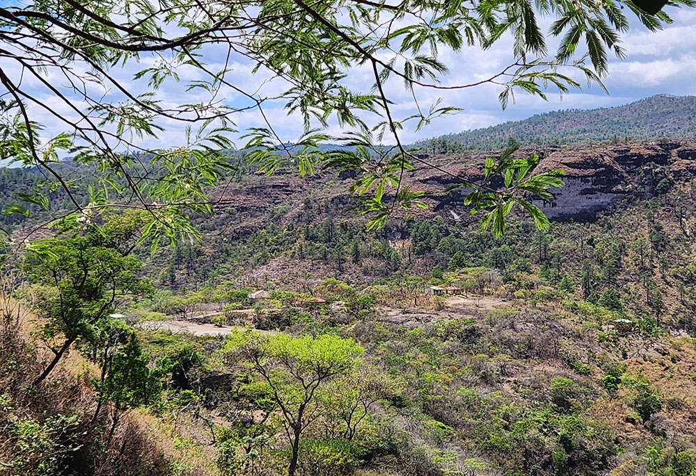 Los Hornos — "The Ovens," in Spanish — is a blistering, arid part of the Dry Corridor near the border of El Salvador. Communities there, mostly Indigenous Lenca, used to rely on a rainy season beginning in April, but rainfall has become less predictable and now often doesn't arrive until May. Most people here are subsistence farmers. Few have irrigation systems, so they're dependent on what, and when, nature provides. (NCR photo/Brian Roewe)