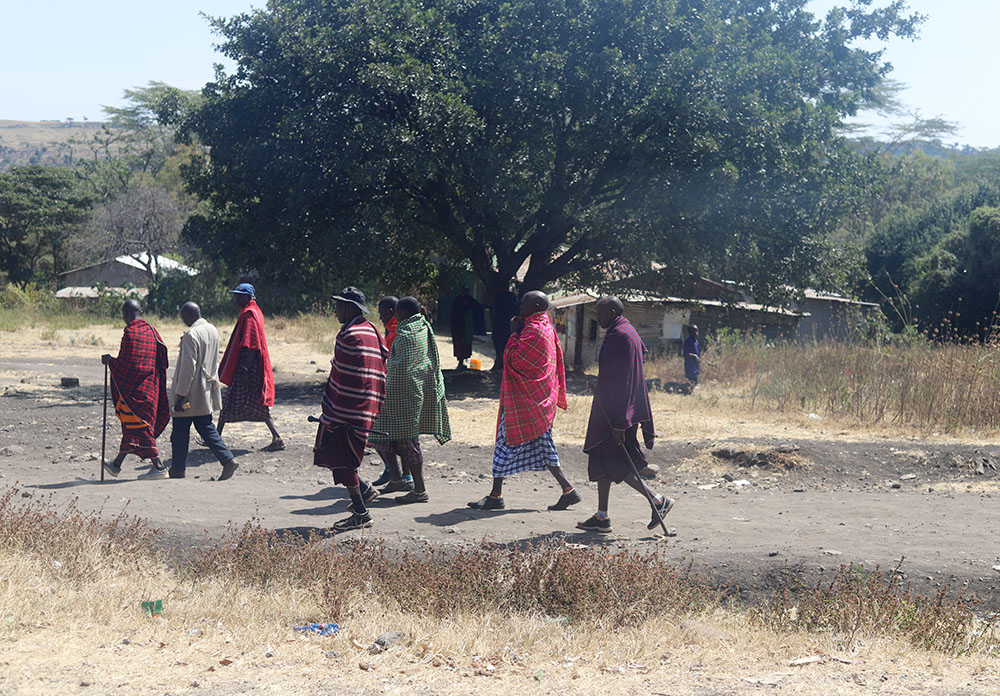 A group of Maasai elders walk together in the Ngorongoro conservation area in northern Tanzania July 8. The Maasai said that they fear meeting each other in groups because of the threats they face from the government, which is evicting the Maasai from their ancestral land in the name of wildlife protection and tourism. (GSR photo/Doreen Ajiambo)