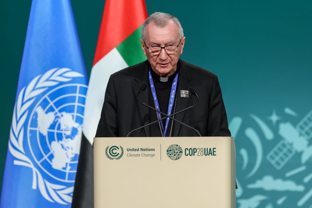 Cardinal Pietro Parolin speaks at COP27