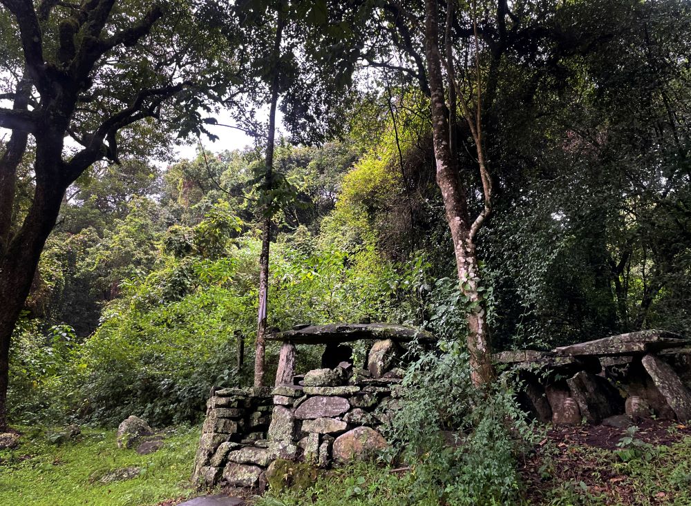 An Indigenous temple and shrine in Banagudi Shola, a sacred forest near Kotagiri, India, where members of the Kurumba tribe worship and offer sacrifices, on Aug. 30, 2023. The Kurumba medicine people collect herbs, roots and tree bark from the forest. (AP Photo/Deepa Bharath)