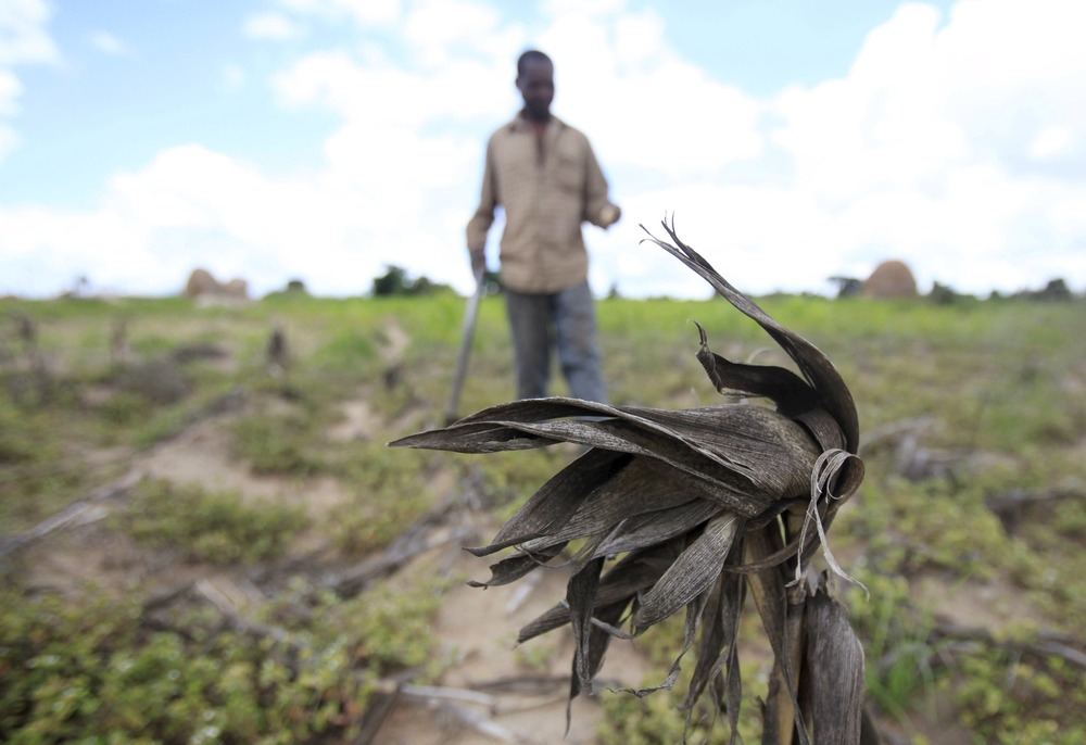 Man walks in field towards camera