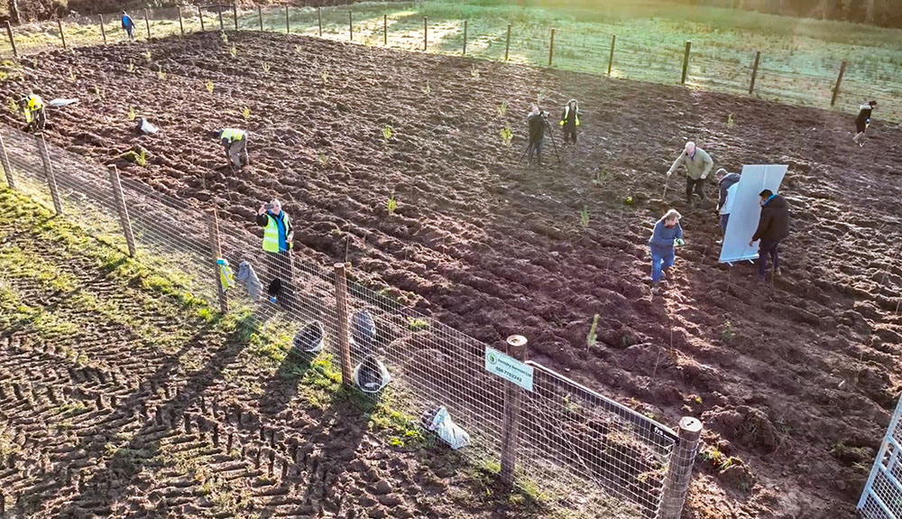 A team of volunteers from the 100 Million Trees Project, including co-founders David Mulcahy and Richard Mulcahy, plant the quarter of an acre site at Glenstal Abbey in County Limerick, Ireland. (Courtesy of 100 Million Trees Project)