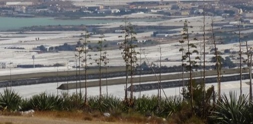 A medida que la agricultura intensiva en los invernaderos crecía, comenzaron a llegar personas de Marruecos, Senegal, Guinea Bissau, Ghana, Costa de Marfil, Mali y Mauritania (Foto: cortesía Fátima Santoló-Osorio)