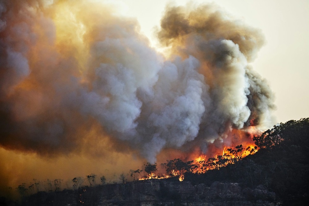 Conflagration rages up hillside. 