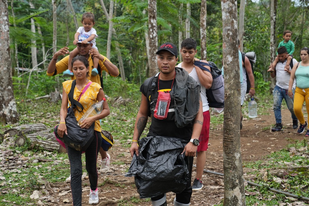 People walk through wooded area.