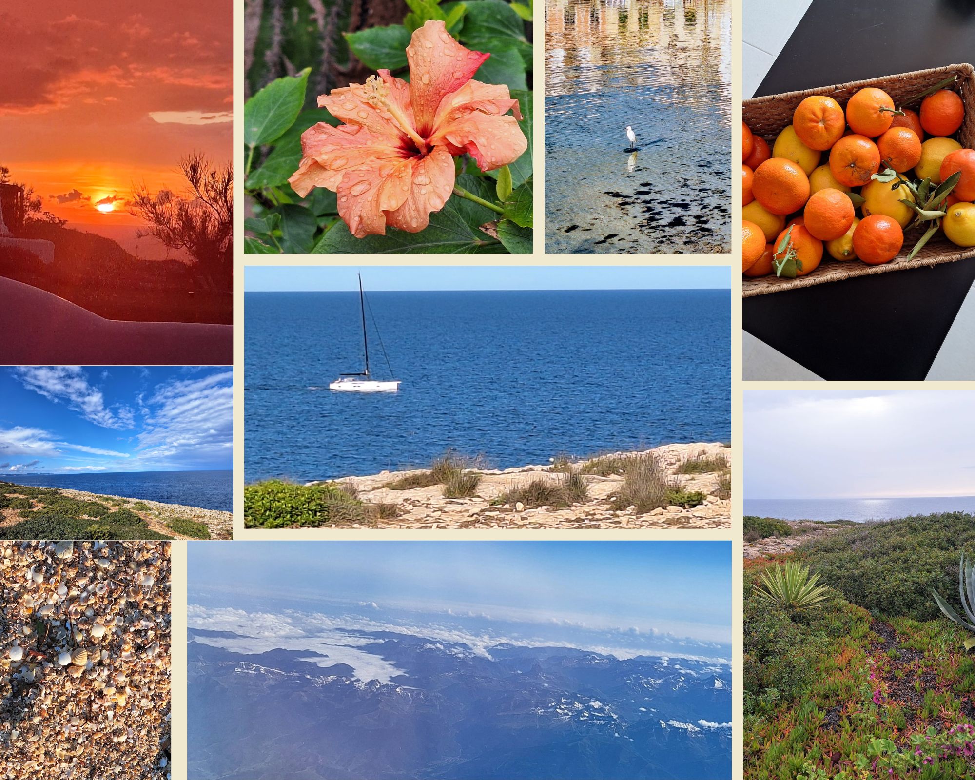 El panel de julio de La Vida preguntó a las hermanas: ¿Cómo está implementando tu comunidad las recomendaciones de Laudate Deum sobre la crisis climática? (Imagen: fotocomposición de la belleza de la creación en Mallorca, España, cortesía de Magda Bennasar) 