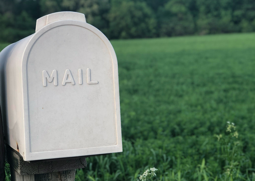 White mailbox in a green grassy field (Unsplash/Mikaela Wiedenhoff)