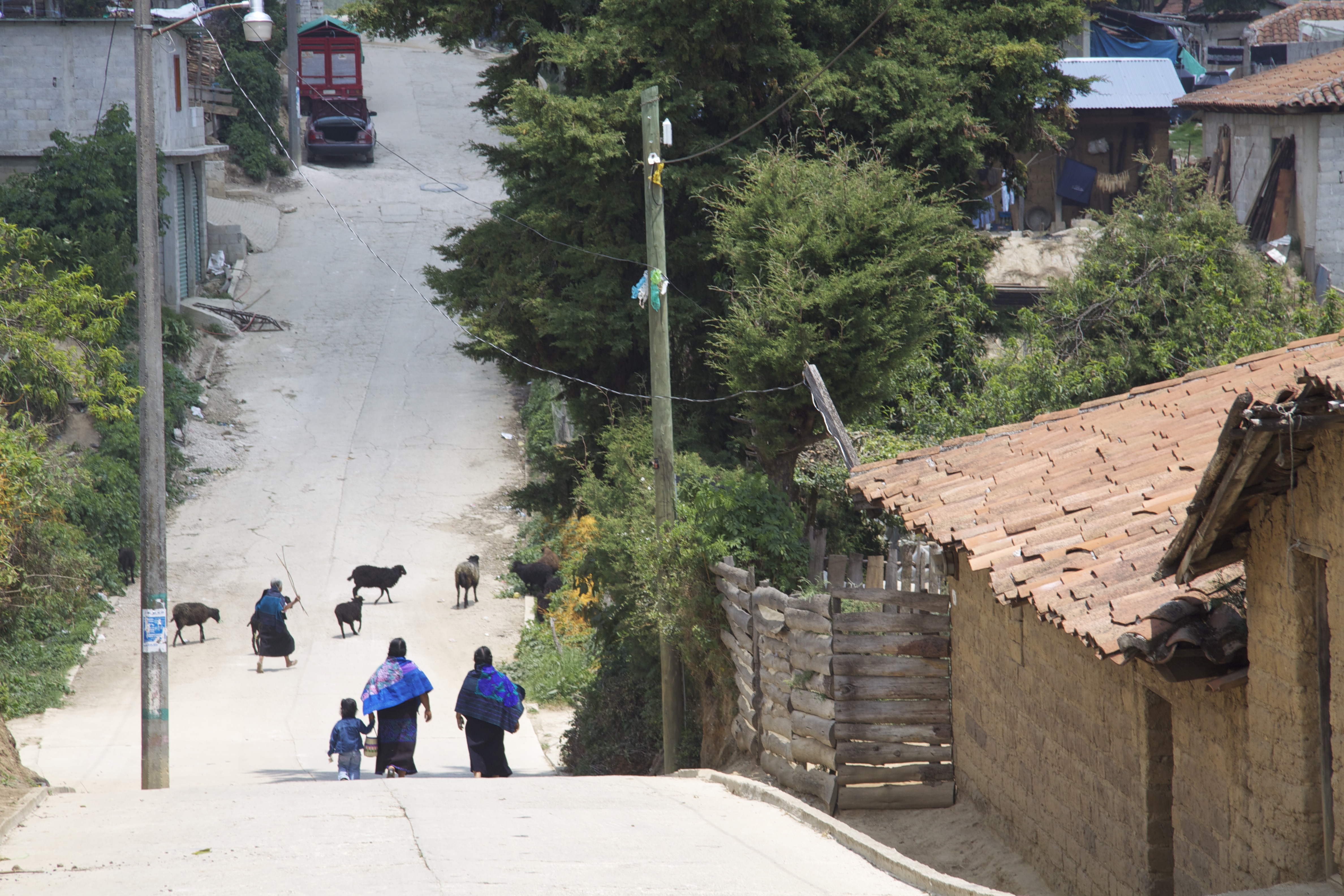 La congregación de Hermanas del Divino Pastor  dedica su ministerio a la educación, al área campesino-indígena, al trabajo parroquial y a las misiones en el extranjero. Imagen referencial: comunidad indígena de Zinacantán, Chiapas, México. (Foto: Wikimedia Commons CC BY-SA 3.0)