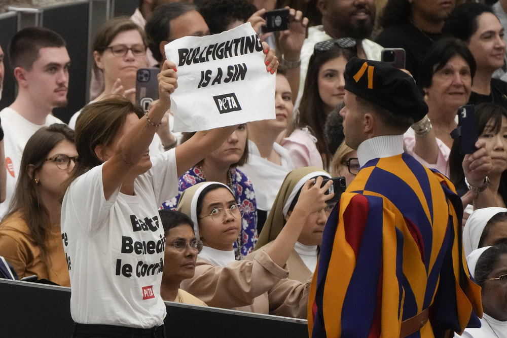 Bullfighting protests in Paul VI Hall, August 7, 2024, Vatican City. Woman wearing shirt reading "Stop blessing corridas" stares down Swiss Guard and holds up sign reading "Bullfighting is a sin."