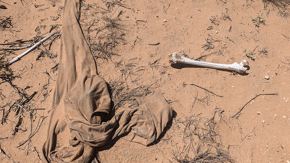 A human femur and pair of pants covered in sand were discovered by the Battalion Search and Rescue in the Santa Teresa Desert in southern New Mexico. (Pauline Hovey)