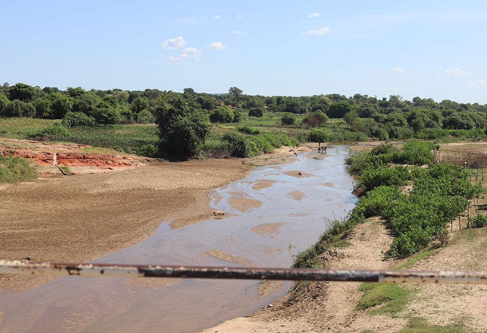 A view of a farm in Zambia reveals a failed corn crop, showcasing the severe impact of the drought in southern Africa, which has resulted in hunger. (NCR photo/Doreen Ajiambo)