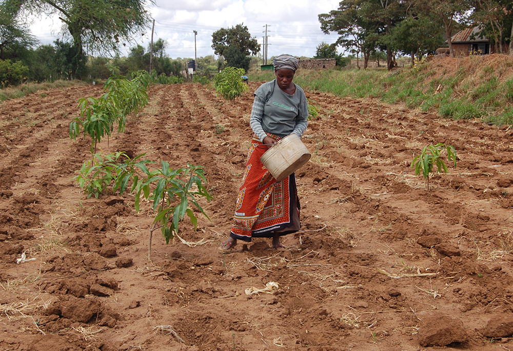 A woman plants seeds on a farm on the grounds of Our Lady of Mercy Catholic Church, March 26, 2017, in Machakos, Kenya. The farm is where they grow food for the parish and teach the local community about farming. It was through Pope Francis' teachings that Sr. Josephine Kwnega came to see farming not merely as a livelihood, but also as a sacred calling.  (CNS/Fredrick Nzwili)
