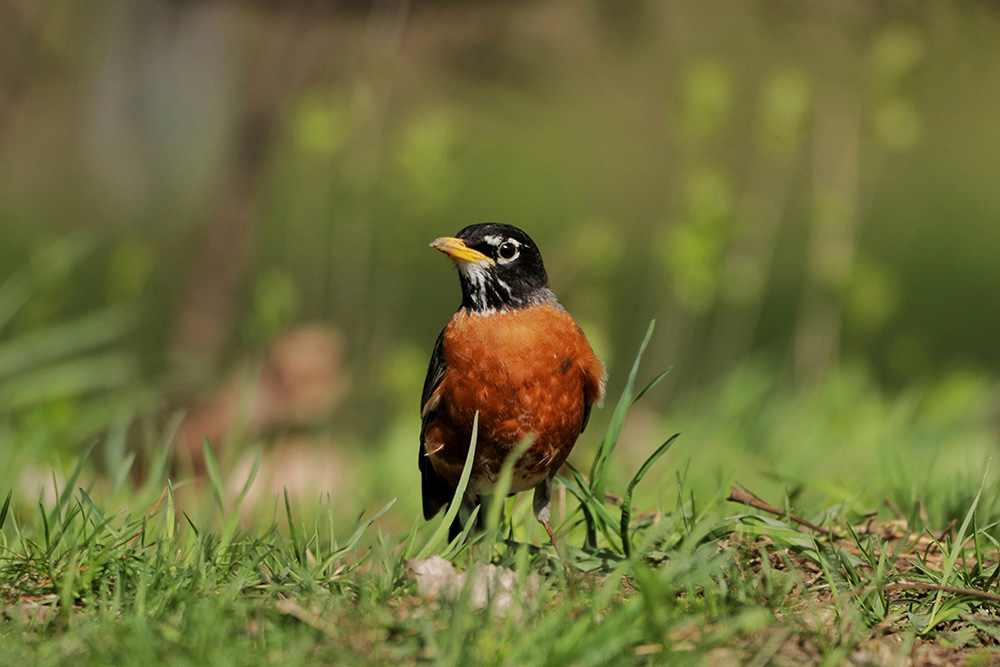 (Unsplash/Dallas Penner)