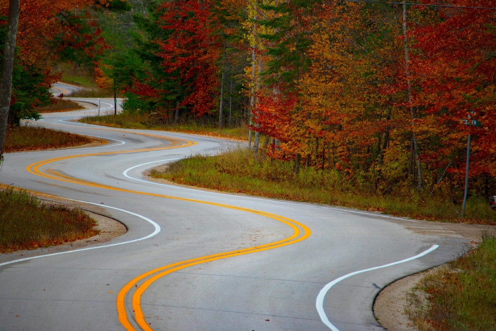A paved winding splits a forest in which the leaves are changing colors