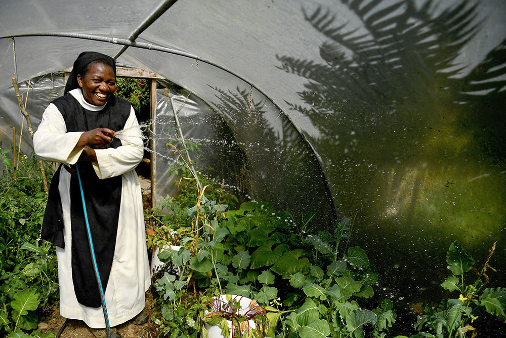 Sr. Anna Bakutara waters her brassica in the greenhouse on the farm at St. Mary's Abbey, an enclosed order of Cistercians, in Glencairn, Ireland, Aug. 30, 2022. The monastery uses green energy and sustainable farming to try to make itself self-sufficient for heating and food. (CNS/Reuters/Clodagh Kilcoyne)