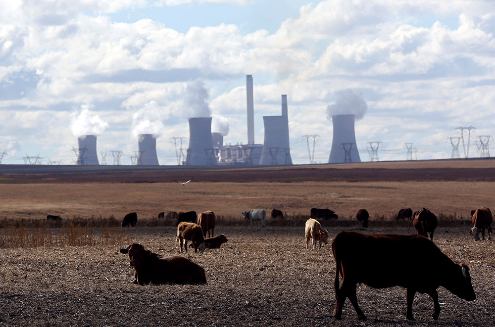 Cows graze as steam rises from the cooling towers of a coal-fired power plant in Middelburg, South Africa, May 20, 2018. (CNS/Reuters/Siphiwe Sibeko)