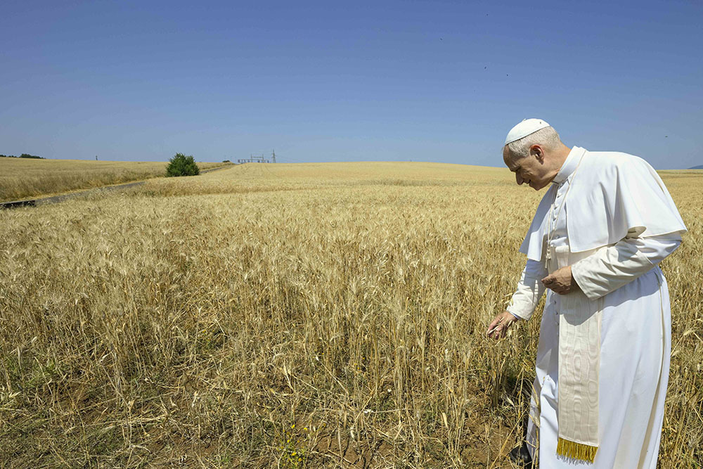 Pope Leo XIV visits a field where the Vatican is studying setting up a solar farm on land surrounding the Vatican Radio shortwave transmission center at Santa Maria di Galeria outside of Rome June 19, 2025. (CNS/Vatican Media)