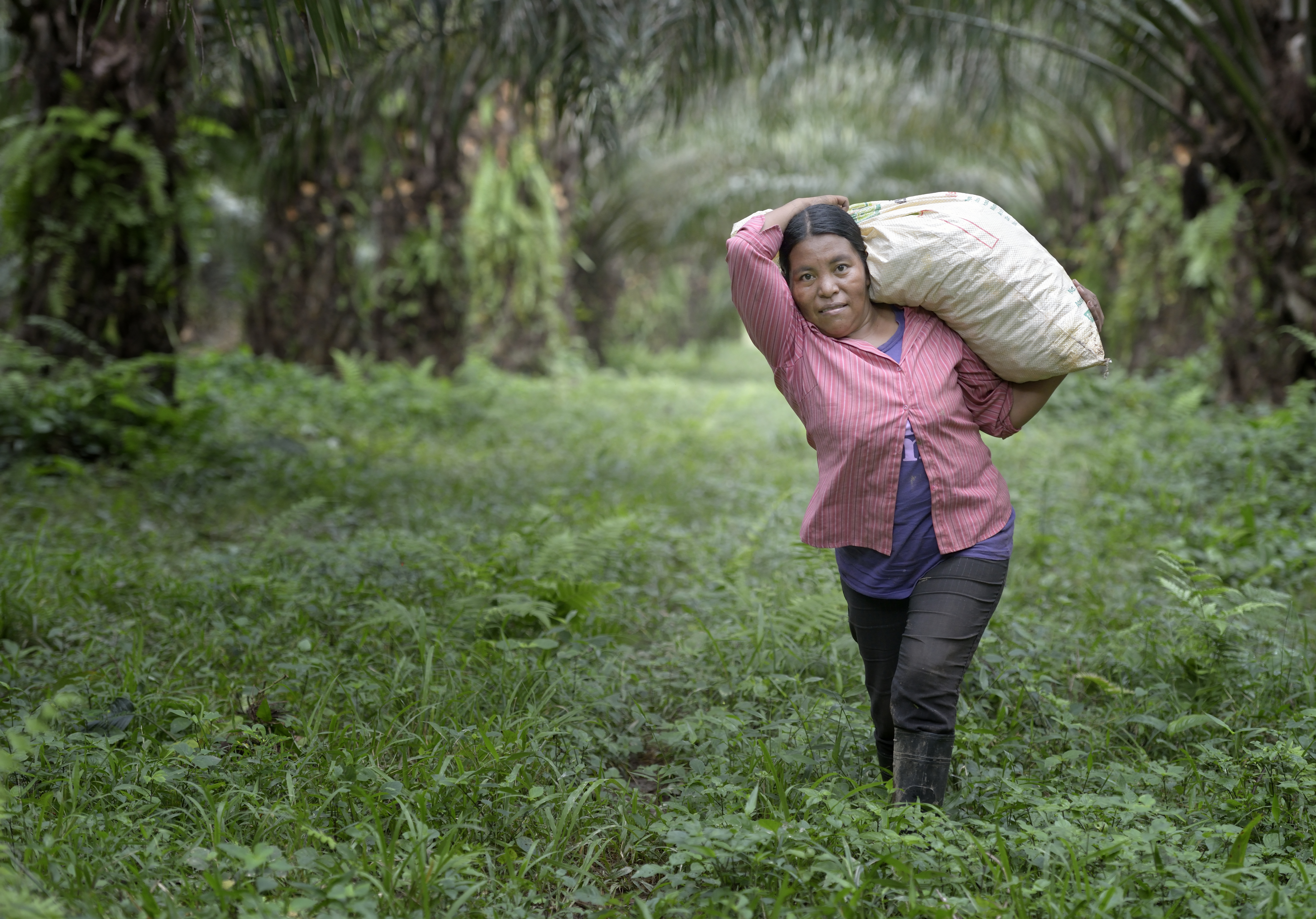 Sophia Vazquez carries palm oil berries on the La Lempira Cooperative, near Ceibita, Honduras. The plantation sits in the middle of the Aguan Valley, the scene of a violent and protracted struggle over land in the north of Honduras. (NCR photo/Paul Jeffrey)