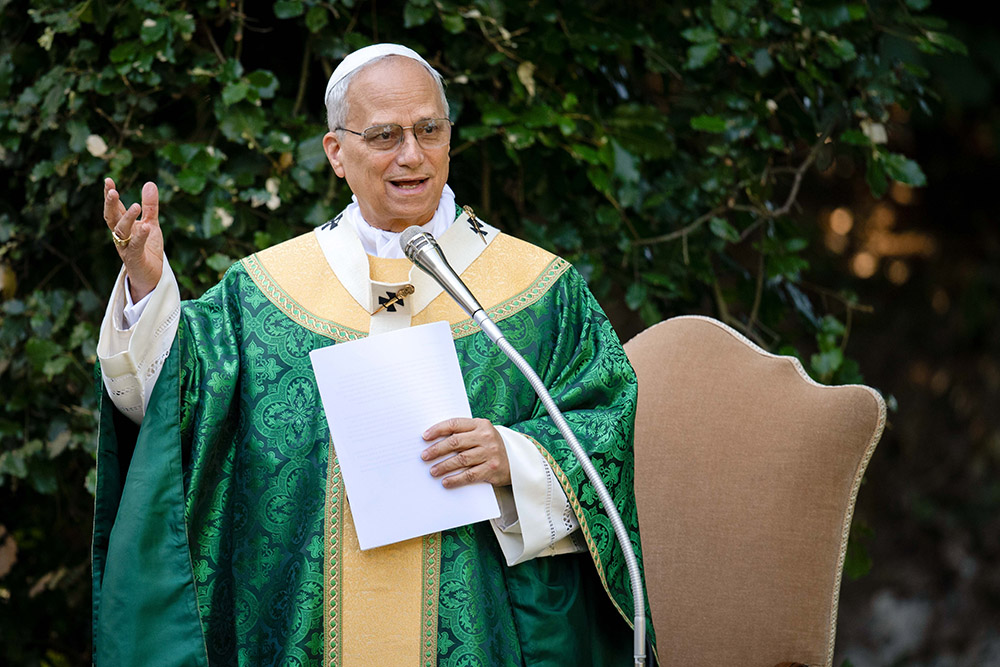 Pope Leo XIV celebrates Mass for the Care of Creation on the grounds of the Borgo Laudato Si’ ecology center in Castel Gandolfo, Italy, July 9, 2025. (CNS/Cristian Gennari, pool)