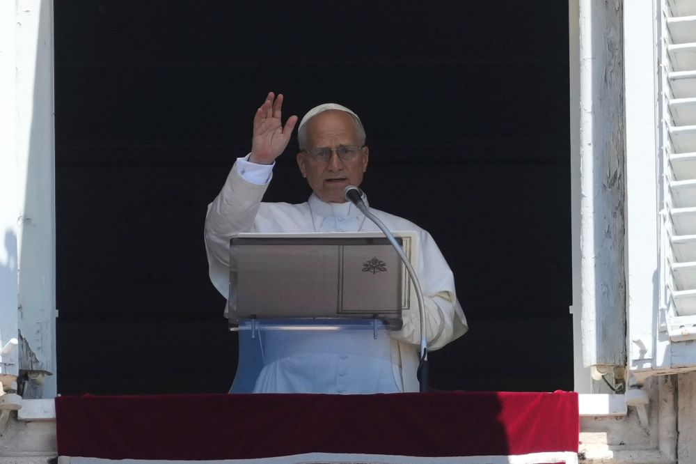 Pope Leo Pope Leo