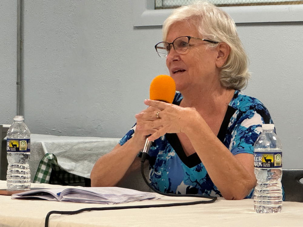 Leslie Schuld habla sobre las detenciones injustas de miembros del Centro de Intercambio y Solidaridad, una oenegé que cofundó en El Salvador, durante un evento comunitario el 5 de junio de 2024 en la Iglesia episcopal St. Stephen and the Incarnation, en Washington. Schuld teme que una nueva ley de agentes extranjeros en El Salvador tenga la intención de acabar con organizaciones como la suya, por haber defendido a personas encarceladas injustamente por el Gobierno. (Foto: GSR/Rhina Guidos)