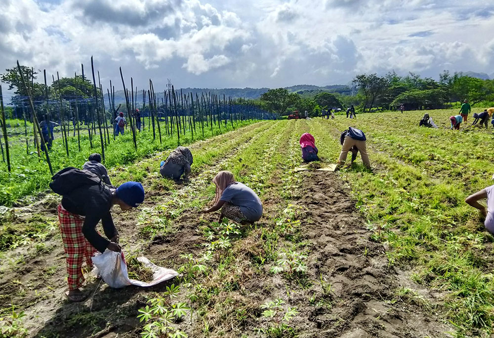 Aeta people work on their farm in Floridablanca, Pampanga, Philippines. (Ricardo M. Guiao)