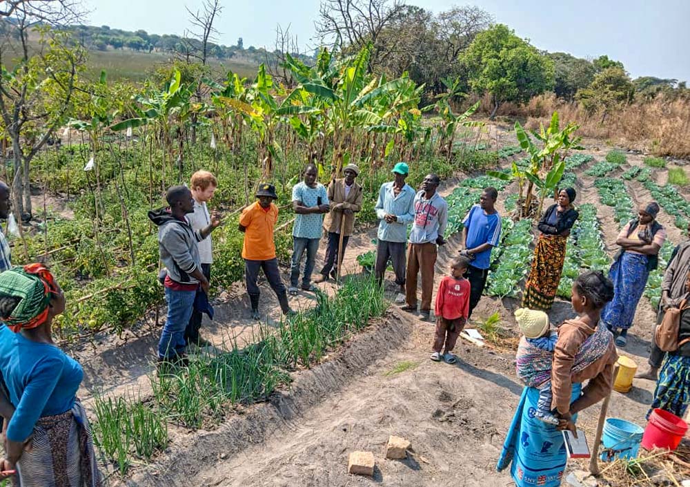 The Congregation of the Sacred Hearts of Jesus and Mary administer and raise funding for the Inclusive Development Program, which spearheads environmental protection and climate change mitigation in Zambia. (Courtesy of Congregation of the Sacred Hearts of Jesus and Mary)