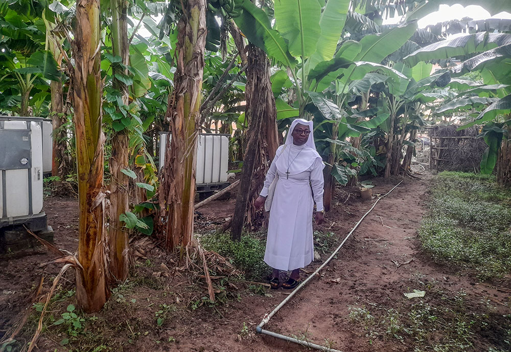 Sr. Maria Obiomachukwu Osuji walks through the farm as she inspects crops cultivated by the Sisters of the Immaculate Heart of Mary, Mother of Christ, in Aba, Nigeria. (GSR photo/John Chukhu)
