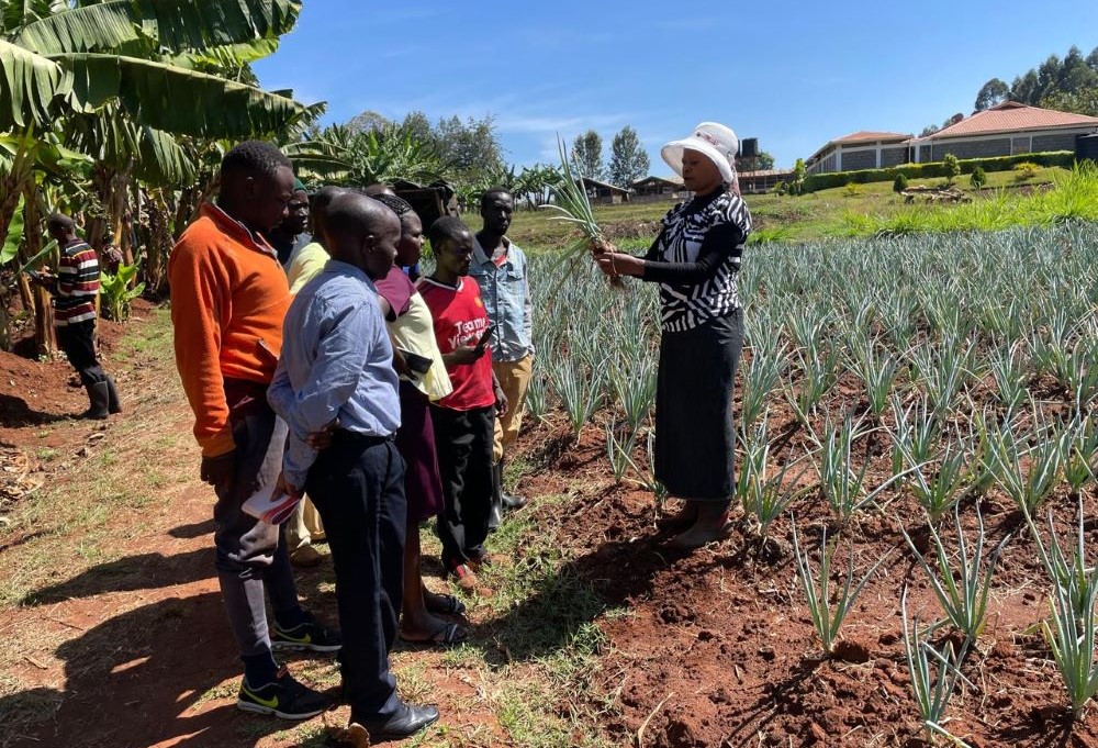 Sr. Flora Nyawira trains a group on leek onion farming. 