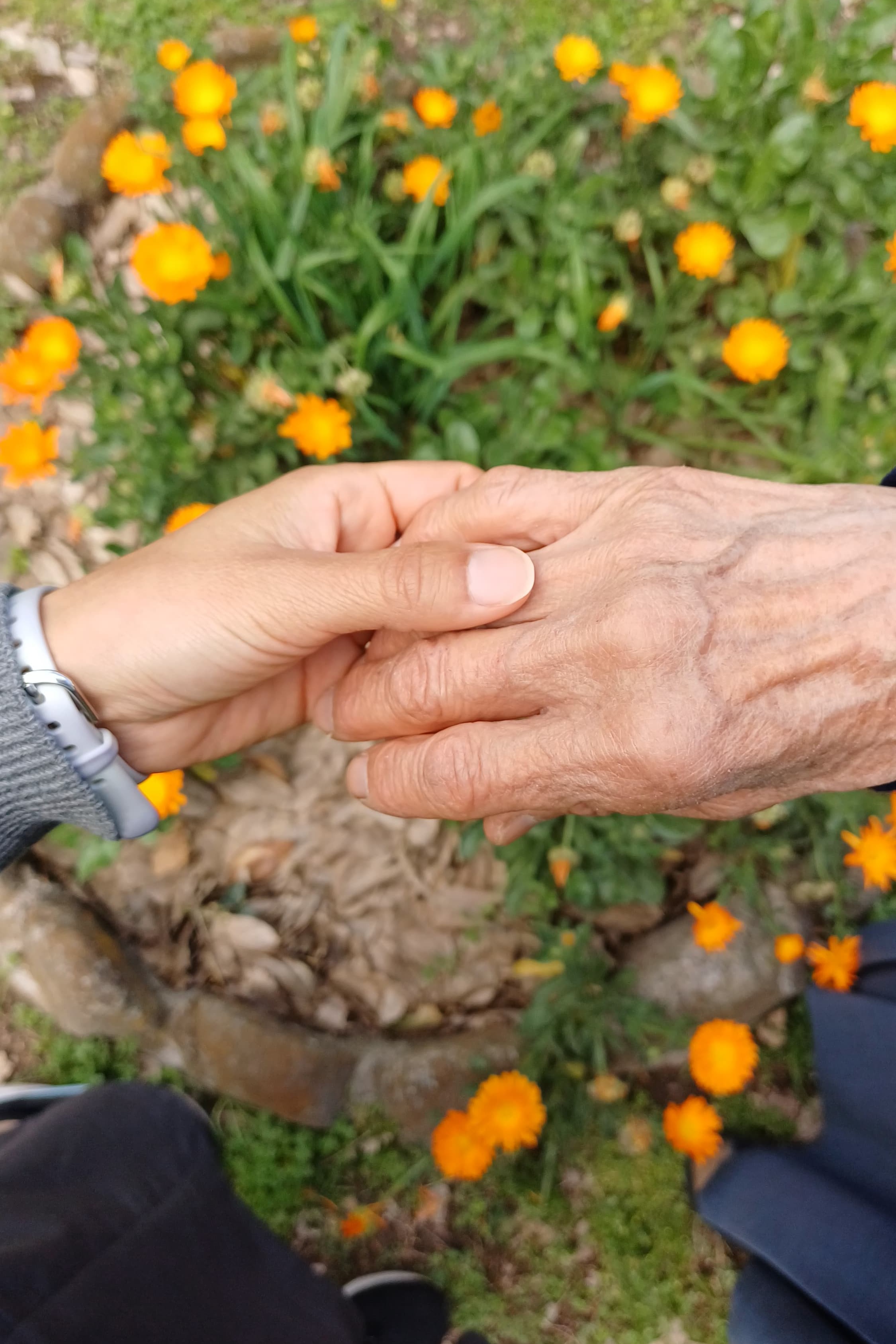 La foto muestra la mano de la Hna. Claudia Navarro, a la izquierda, y la de Hna. Rosa Villarreal, la última hermana de su congregación, las Hermanas Mensajeras de Jesús en la Familia. Villarreal vive con las Hermanas Terciarias Misioneras Franciscanas desde hace más de un año, y ella y Navarro se han adoptado mutuamente. La foto fue tomada en el jardín de la casa de oración en Agua de Oro, Argentina. (Foto: cortesía Claudia Navarro)