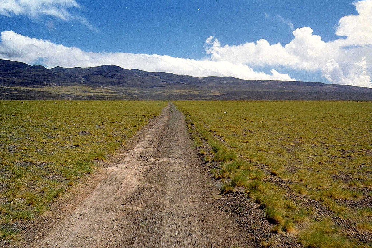 Huella rumbo a Antofagasta de la Sierra, Catamarca, Argentina. (Foto: Rodoluca/Wikimedia Commons) 