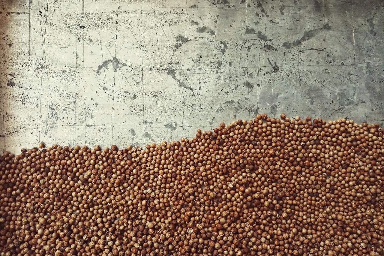 El grano de mostaza es pequeño, pero puede crecer y dar fruto. La disminución de vocaciones en las congregaxciones invita a nuevas formas de misión y a ser presencia significativa en los espacios de servicio. (Foto: Pixabay)