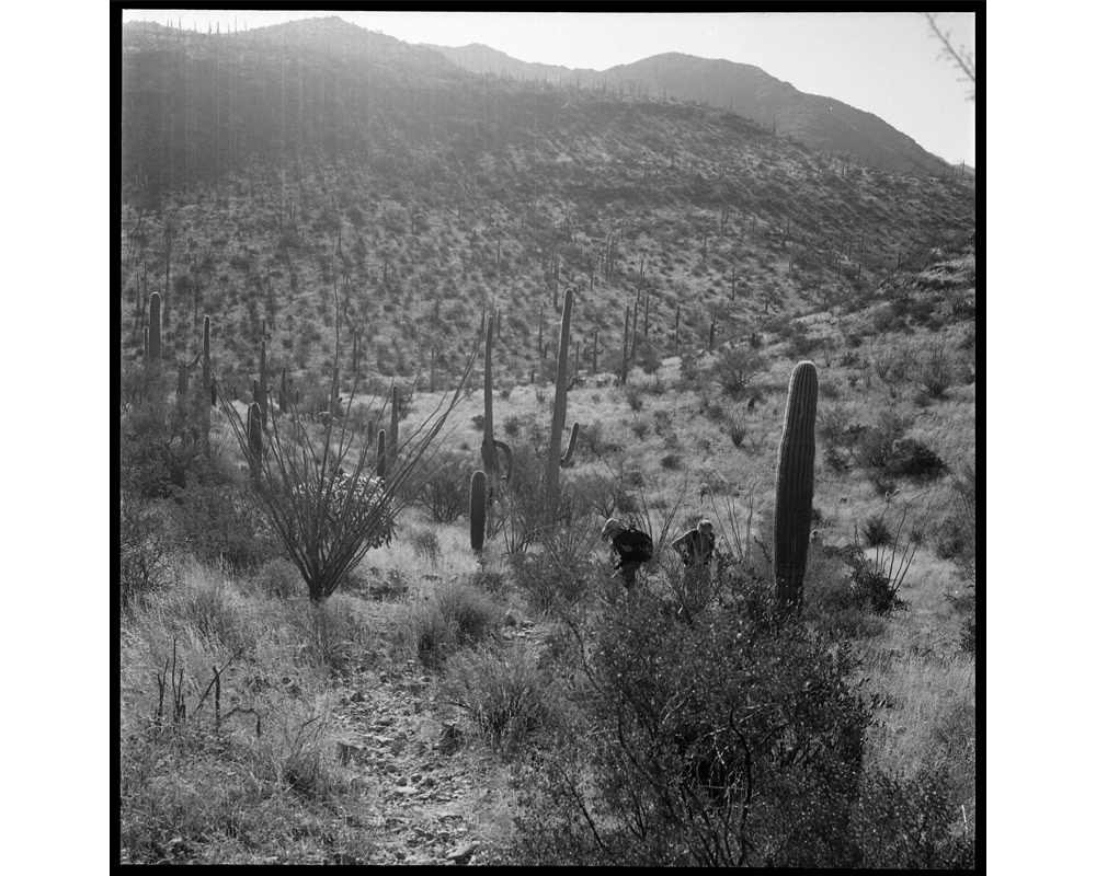 The vastness of the desert can really only be felt by walking through it. From this location in the desert, the distance to the Mexican border is about 50 miles. (Lisa Elmaleh)