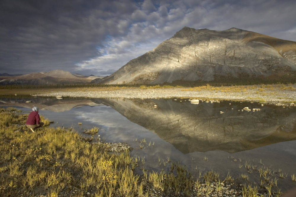 Secretary of the Interior Deb Haaland paused all activities related to the oil and gas leasing program in the Arctic National Wildlife Refuge, initiated by the Trump administration, until her department completes a new environmental review. (Flickr/Alaska