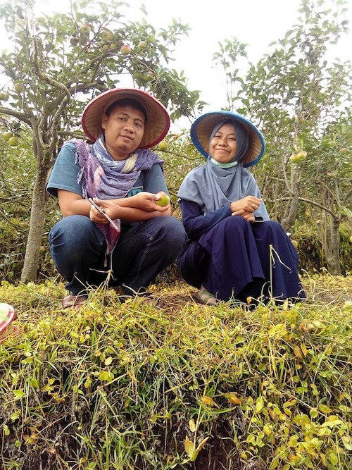 farmers in a field