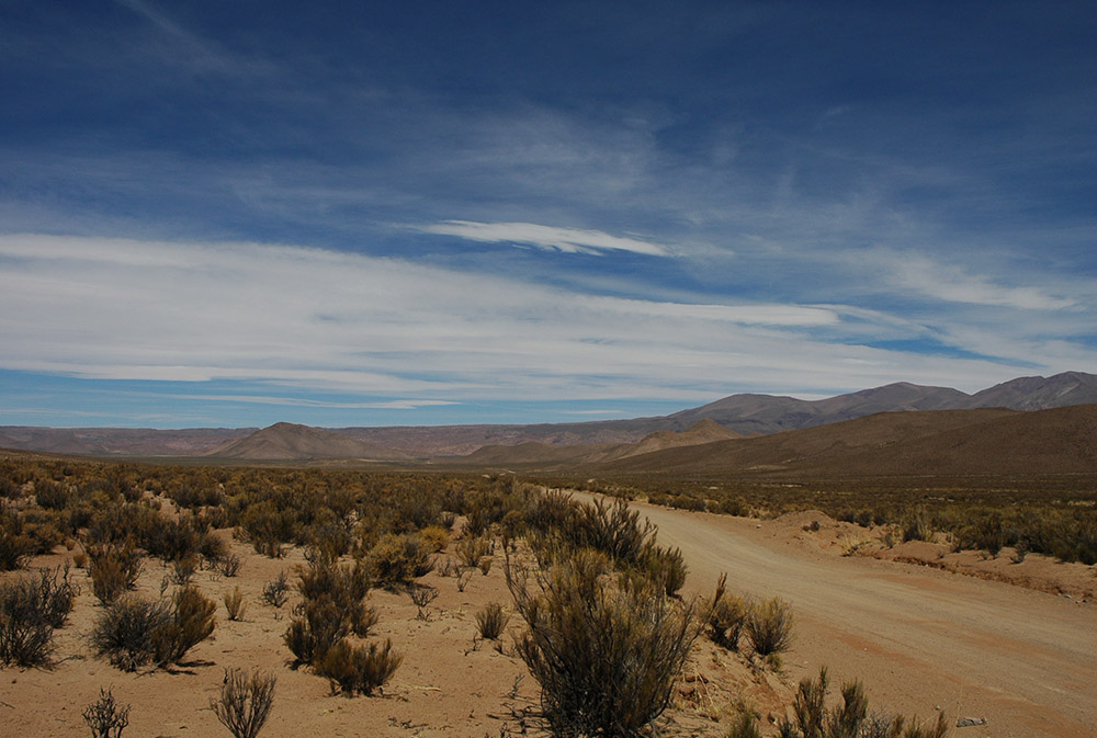 A Gran Chaco landscape in Jujuy Province, Argentina (Wikimedia Commons/Valerio Pillar)