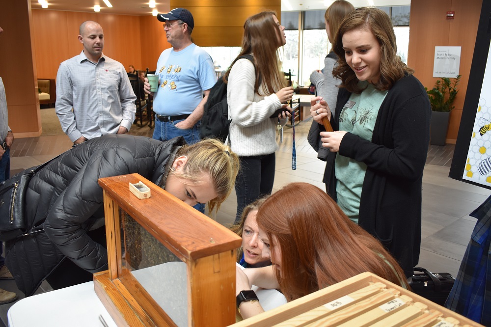 Students at Gonzaga University explore a bee box display at a Bee Informed event on Earth Day 2017 held at the campus' Hemmingson Center, home to two of the school's three apiaries. Students at Gonzaga University explore a bee box display at a Bee Informed event on Earth Day 2017 held at the campus' Hemmingson Center, home to two of the school's three apiaries.